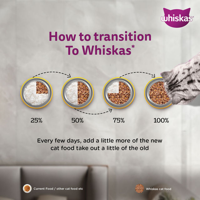 Whiskas Junior Tuna in Jelly Wet Cat Food