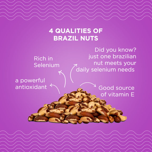 Nutty Gritties Exotic Brazil Nuts
