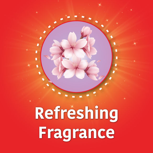 Ghadi Detergent Powder