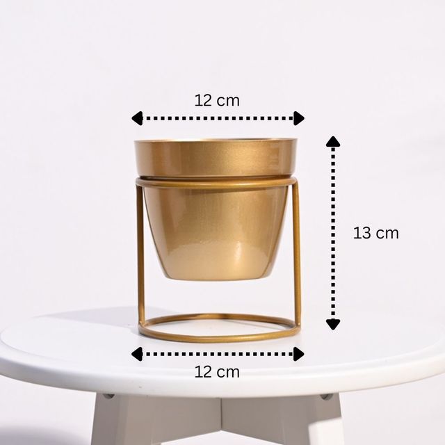 Ugaoo NYX Floor Planter for Home & Balcony Garden | Gold