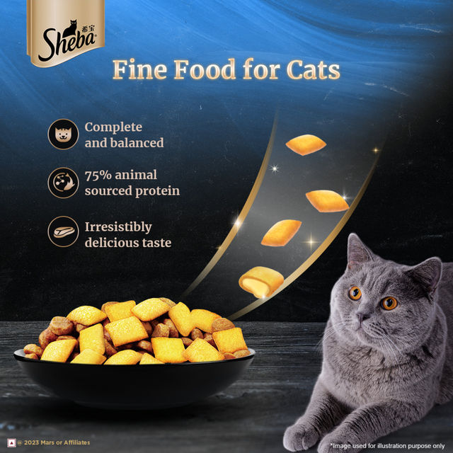 Sheba Kitten and Adult Salmon Flavour Dry Cat Food