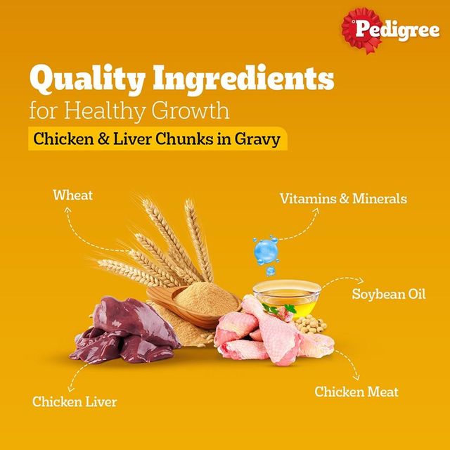 Pedigree Adult Chicken & Liver Chunks In Gravy Wet Dog Food, 130g,Pack of 2
