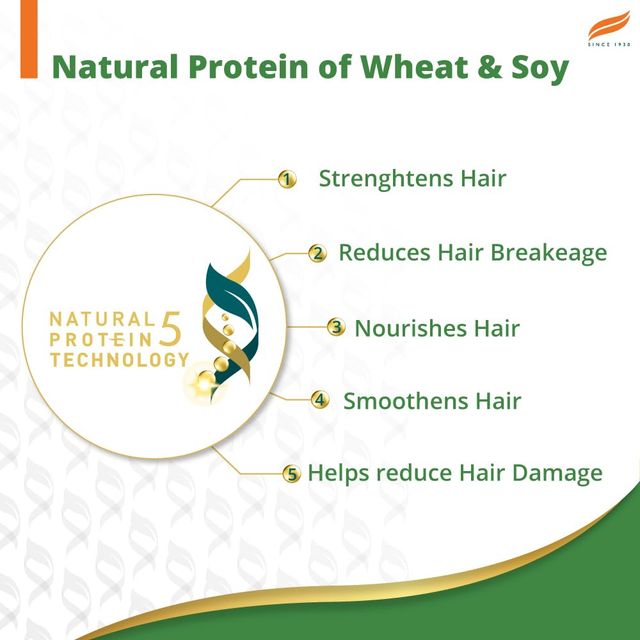 Himalaya Gentle Daily Care Natural Protein Shampoo For Women & Men