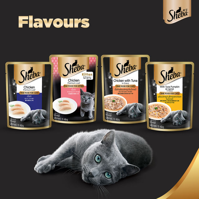 Sheba Fine Adult Chicken with Tuna in Gravy Wet Cat Food