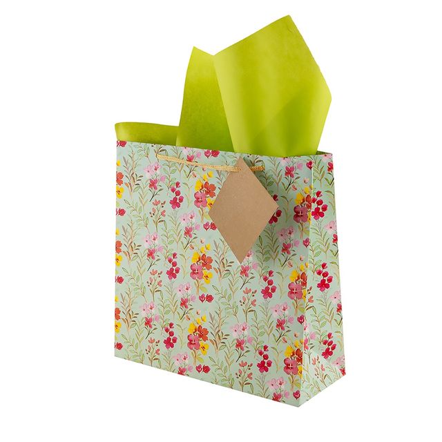 Birch & Co. Medium Gift Bags | Seagreen | Pack of 5