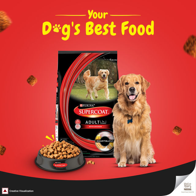 PURINA SUPERCOAT Adult | 1+ Years | Dry Dog Food with Chicken