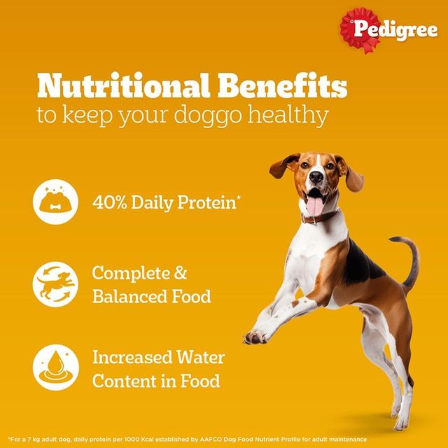 Pedigree Adult Chicken & Liver Chunks In Gravy Wet Dog Food, 130g,Pack of 2