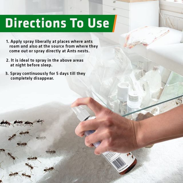 Herbal Strategi Ant Repellent
