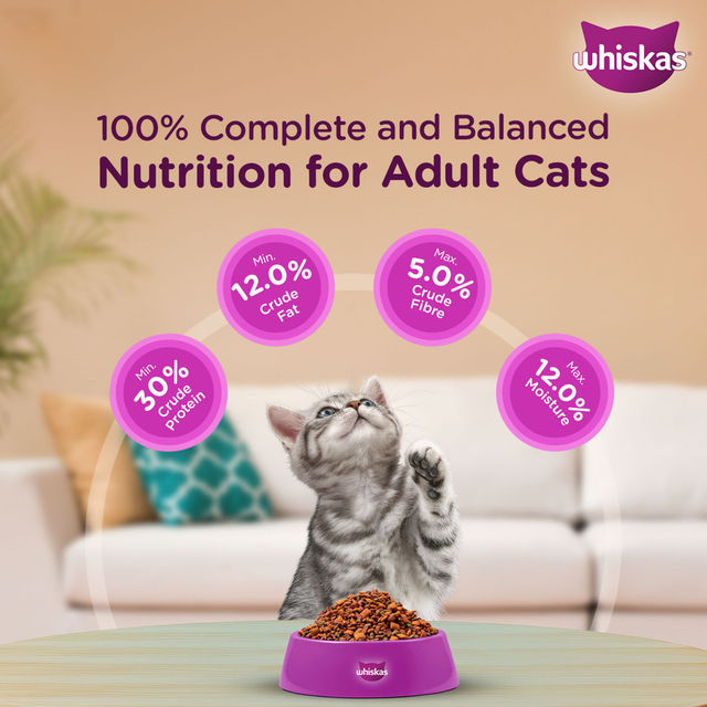 Whiskas Kitten Mackerel Flavour Dry Cat Food