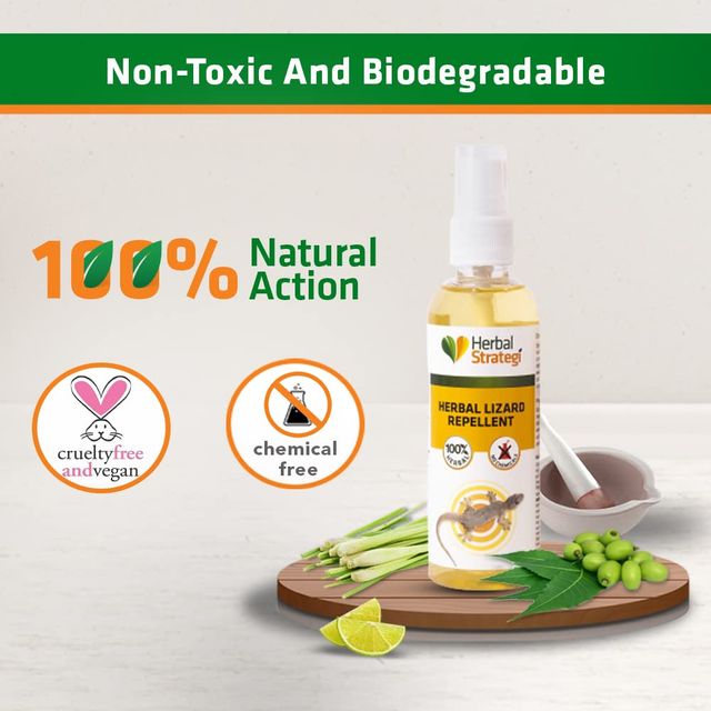 Herbal Strategi Lizard Repellent