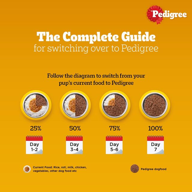 Pedigree Adult Chicken & Liver Chunks In Gravy Wet Dog Food