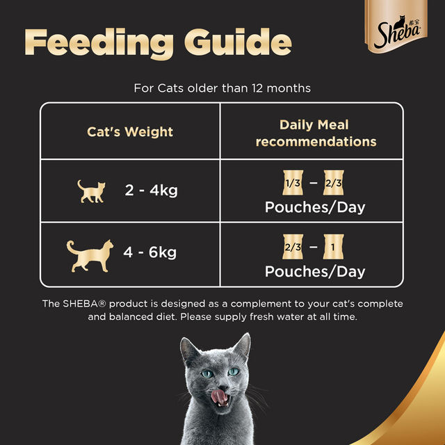 Sheba Fine Adult Tuna Pumpkin & Carrot in Gravy Wet Cat Food