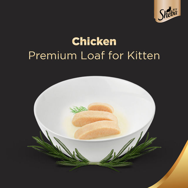 Sheba Fine Kitten Chicken Premium Loaf Wet Cat Food, 70g,Pack of 2