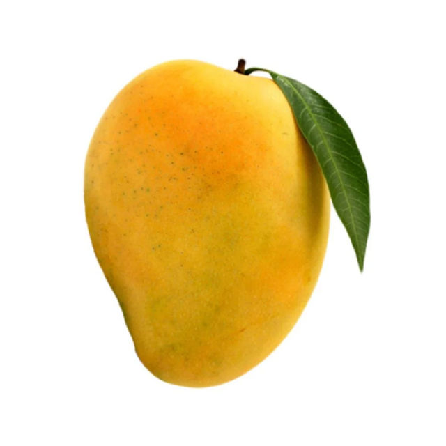 Mango Alphanso