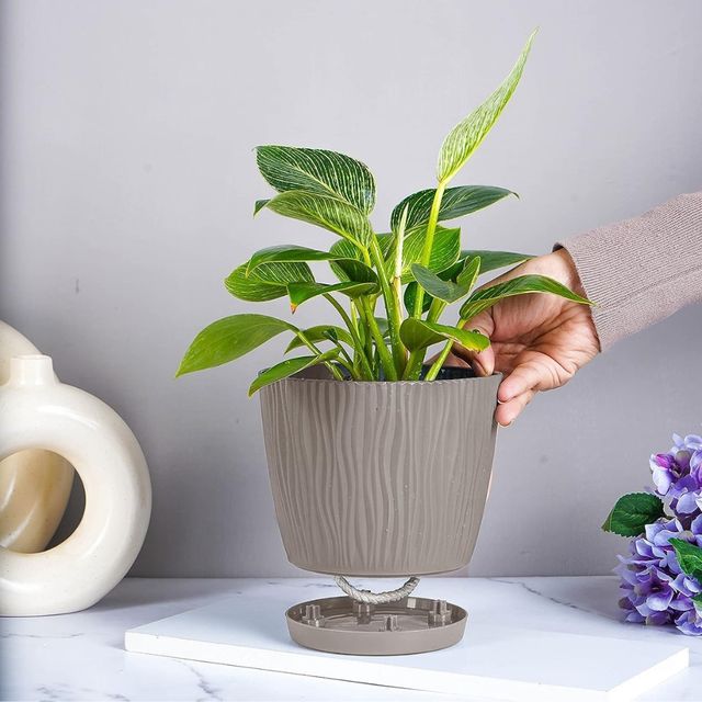 Nurturing Green - Mocha Self Watering Pots | Set of 5 | 14cm x 12.5cm | Flower Pots for Plants