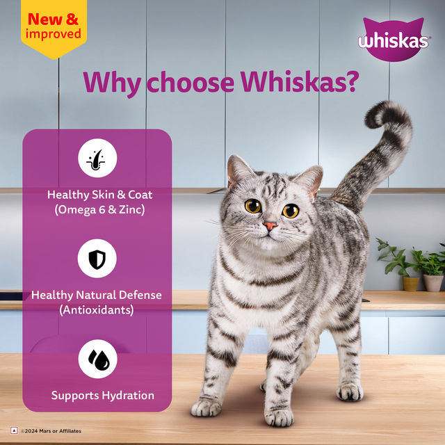 Whiskas Adult Salmon in Gravy Wet Cat Food