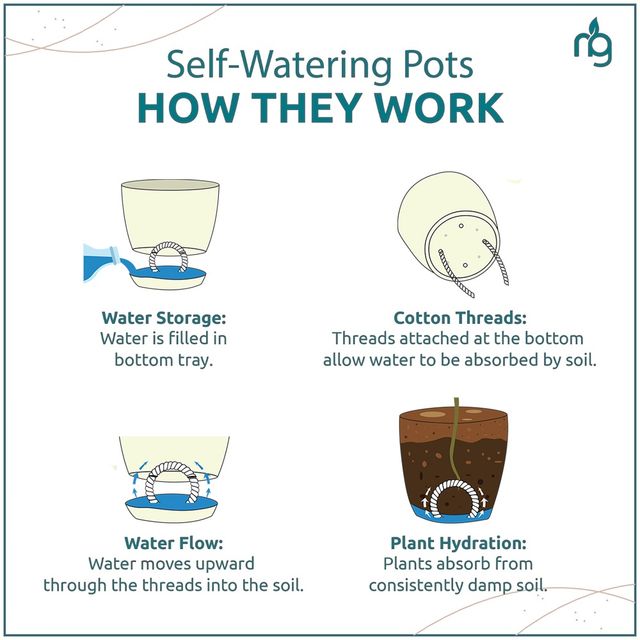 Nurturing Green - Self Watering Pots | Set of 3 | Ivory | 14cm x 12.5cm | Plant Pots with Tray