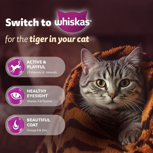 Whiskas Dry Cat Food - Mackerel Flavour For Adult Cats +1 Year