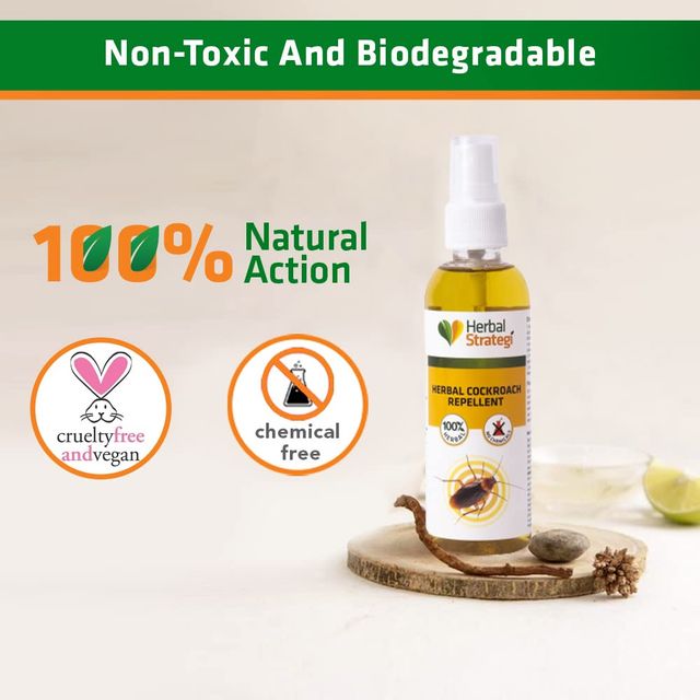 Herbal Strategi Cockroach Repellent