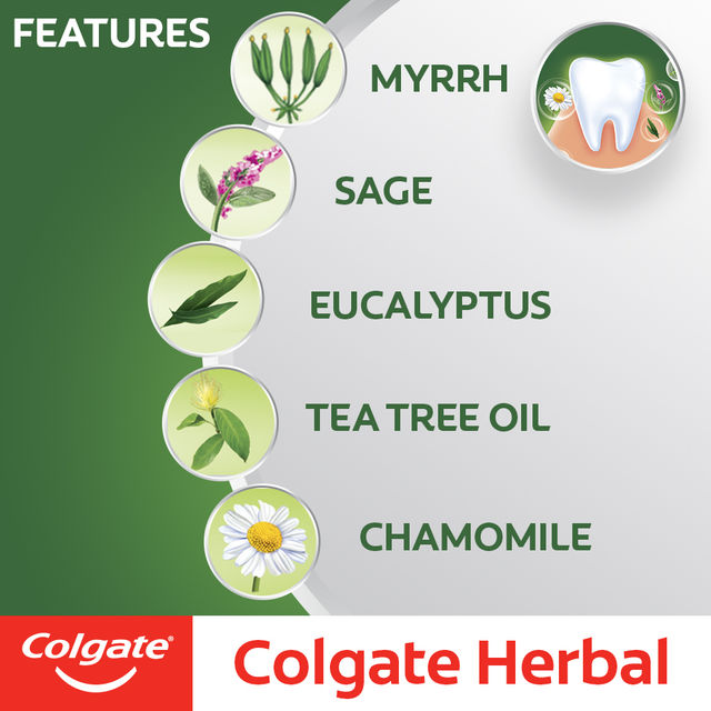 Colgate Toothpaste - Herbal Natural