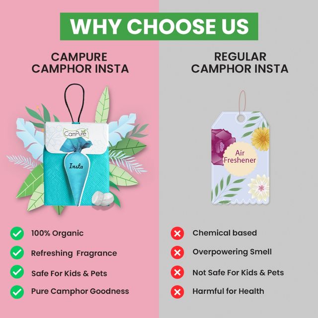 Campure Original Insta Cone Camphor Car Air Freshener
