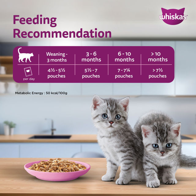 Whiskas Junior Tuna in Jelly Wet Cat Food