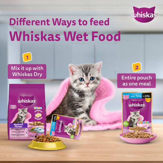 Whiskas Junior Tuna in Jelly Wet Cat Food