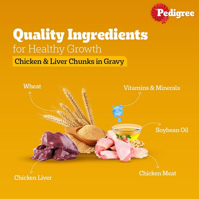 Pedigree Adult Chicken & Liver Chunks In Gravy Wet Dog Food
