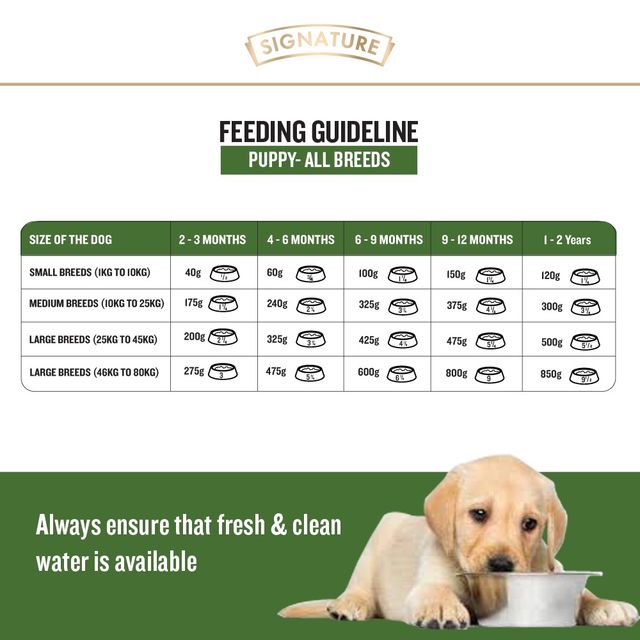 Grain Zero Real Chicken, Egg And Vegetables | Puppy And Mother | Dry Dog Food