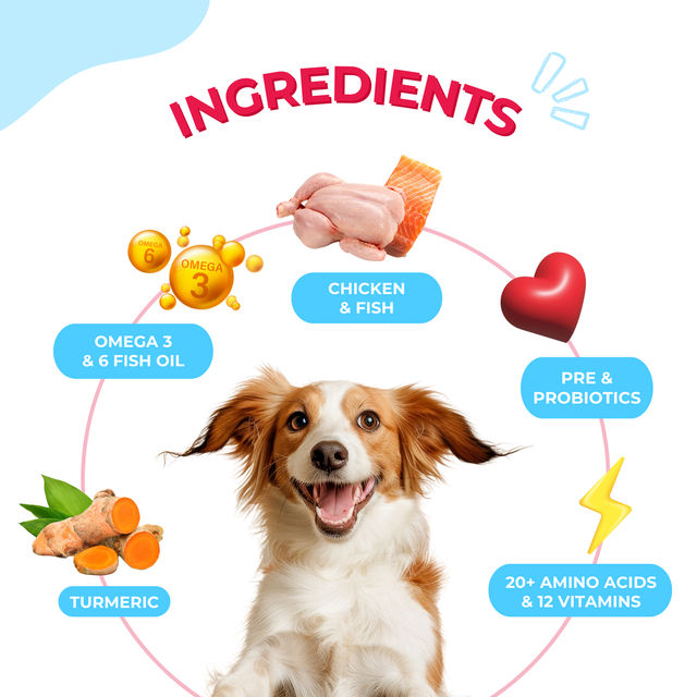 Yummytails Puppy Dog Food | 80% Chicken and Fish Protein 500 g X 3 Combo