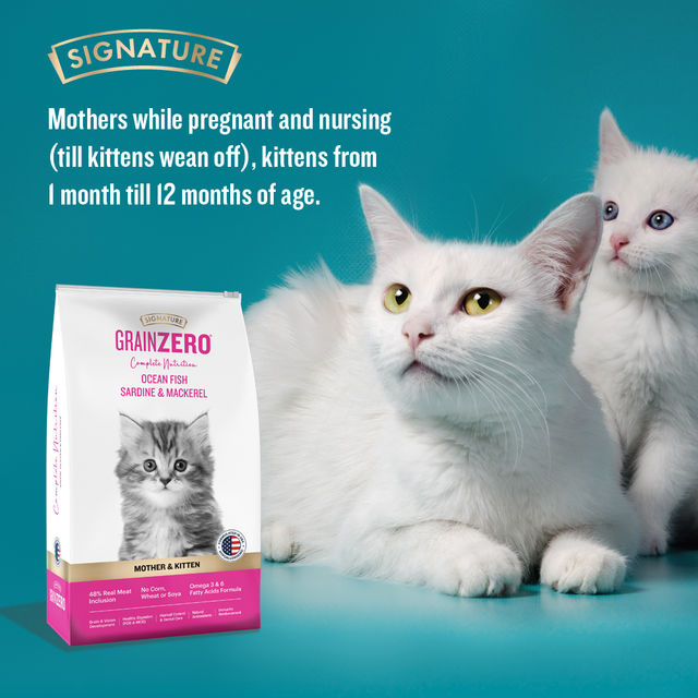 Signature Grain Zero Kitten Dry Cat Food Free With Container