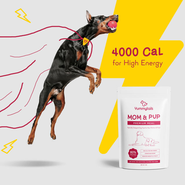 Yummytails Puppy Dog Food | 80% Chicken and Fish Protein 500 g X 3 Combo