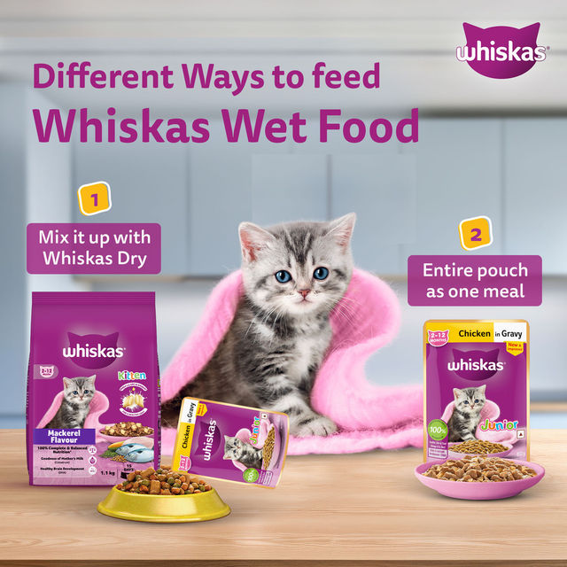 Whiskas Junior Chicken in Gravy Wet Cat Food