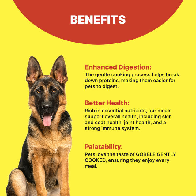 Gobble Chicken And Rice Dog FOOD 300 g X 4 Combo