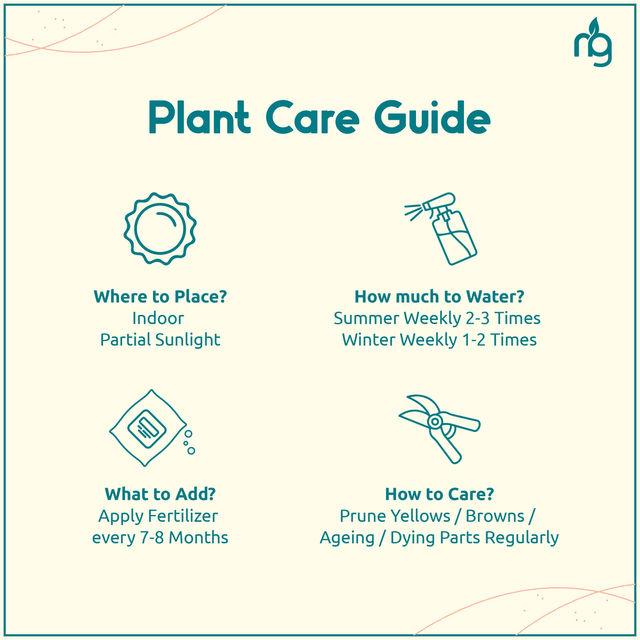 Nurturing Green - Syngonium Pink Plant in Self Watering Pot (Ivory, 8cm x 6.5cm) | Indoor Plants