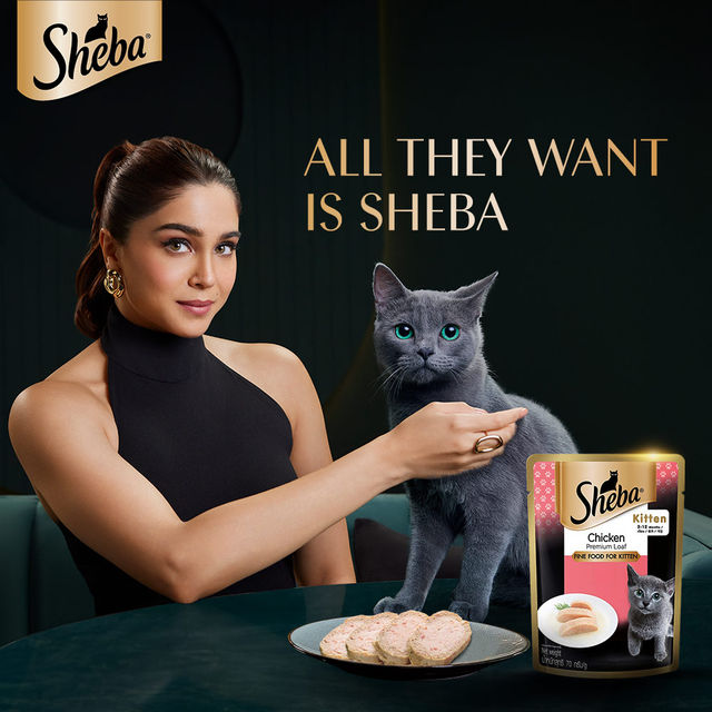 Sheba Fine Kitten Chicken Premium Loaf Wet Cat Food, 70g,Pack of 2