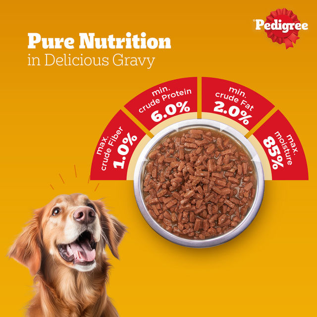 Pedigree Adult Chicken & Liver Chunks In Gravy Wet Dog Food