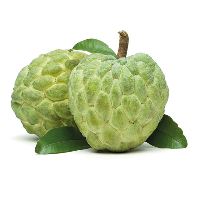 Custard Apple (Sitaphal)