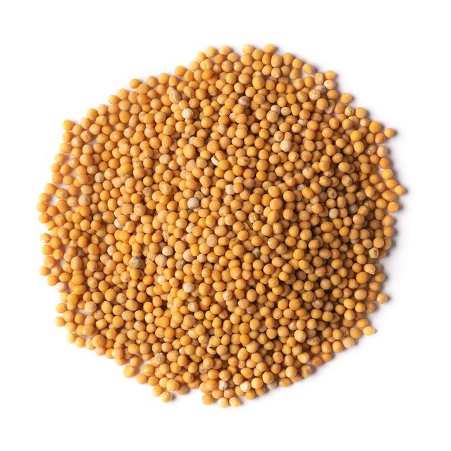 Mayurank Pila Sarson (Yellow Mustard)