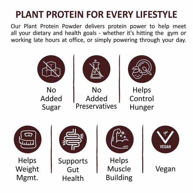 Ritebite Max Protein Alphanso Mango Plant Protein Powder