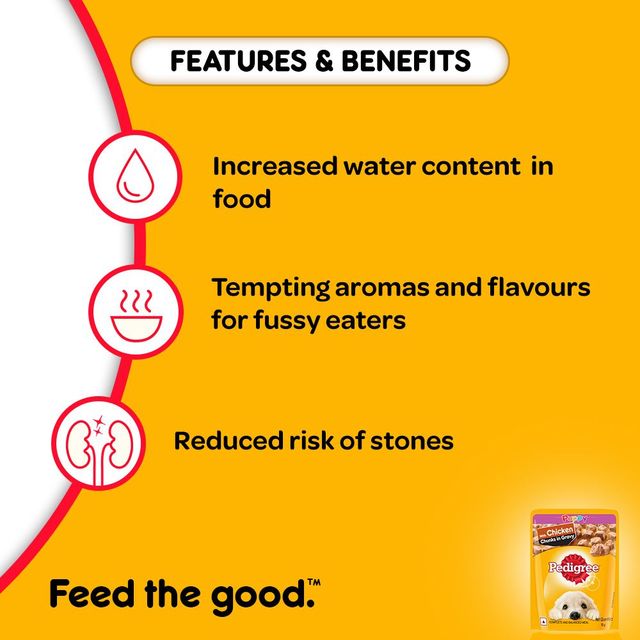 Pedigree Puppy Wet Dog Food, Chicken Chunks In Gravy,70g