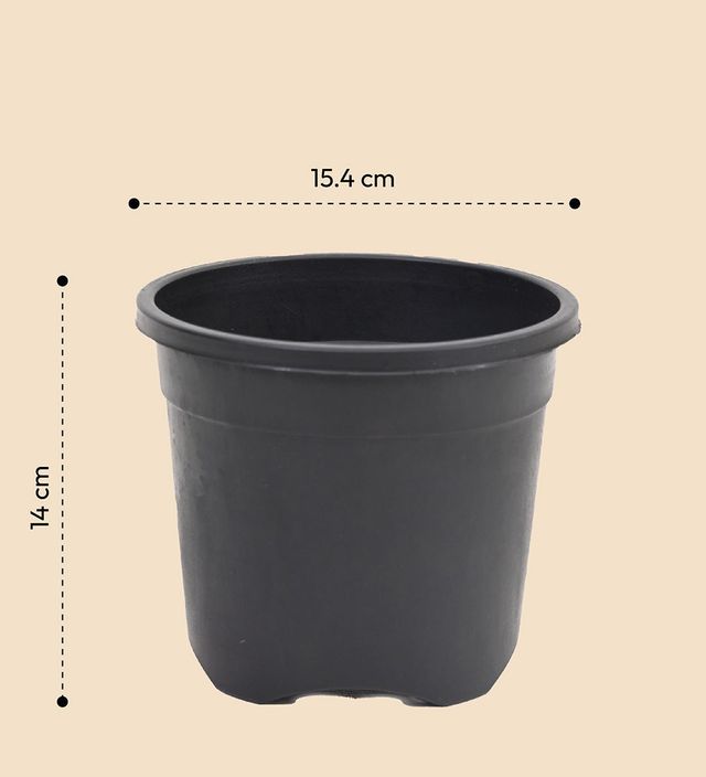 Ugaoo Gardening Plastic Pots For Plants (6 Inch Black Color Set Of 6 ) Plant Container Set