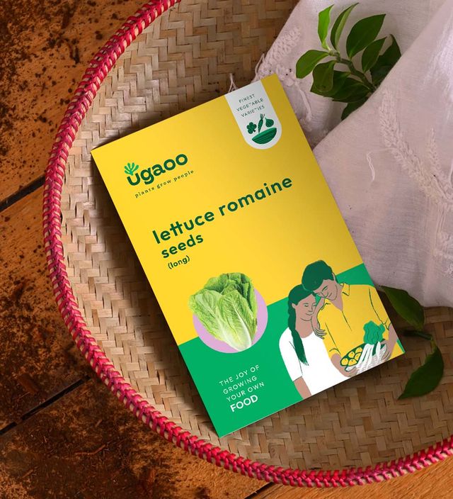 Ugaoo Lettuce Romaine Seeds (Long)