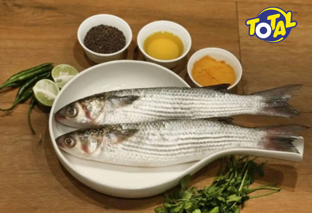 Total Parshe Fish
