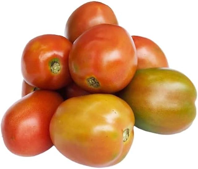Tomato Hybrid