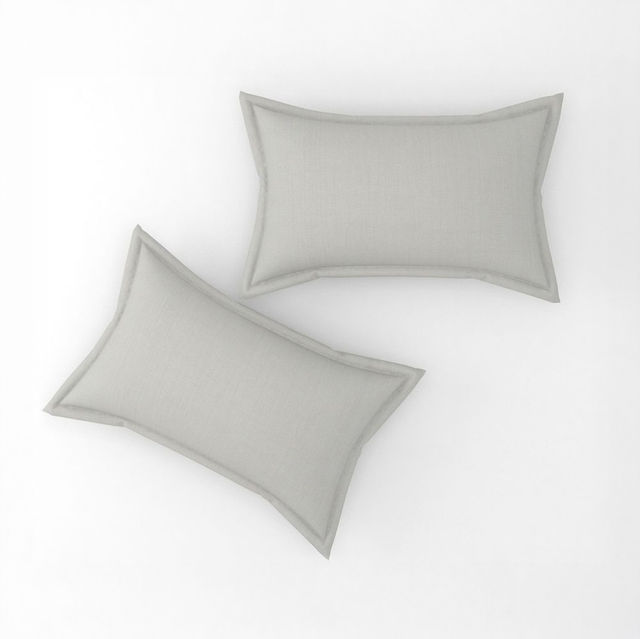 Florida Shades Plain Cotto King Size Bedsheet for Double Bed and 2 King Size Pillow Covers 300 TC