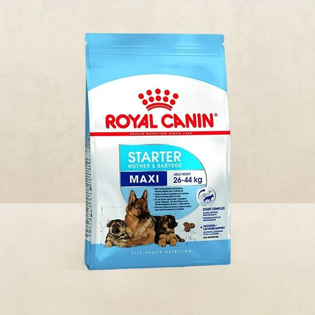 Royal Canin Maxi Starter