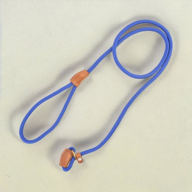 Vama Leathers British Style Slip Training Leash Heavy Duty Rope With Brass Ring-1 Cm X 5 Feet-Blue