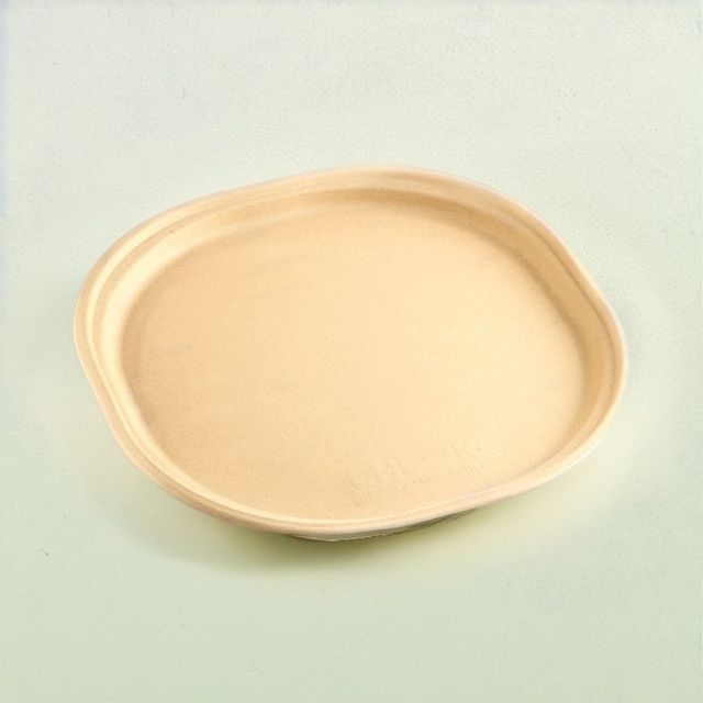 Chuk Baggase Meal Plate -12 Inch
