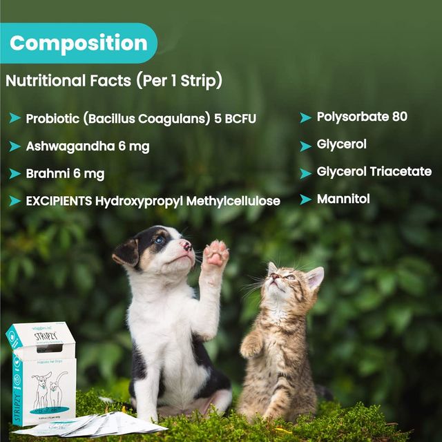 Wiggles Stripzy Immunity Booster Probiotics Dogs Cats Pet Ashwagandha Brahmi Health Strips (Blue Berry) 15 Strips